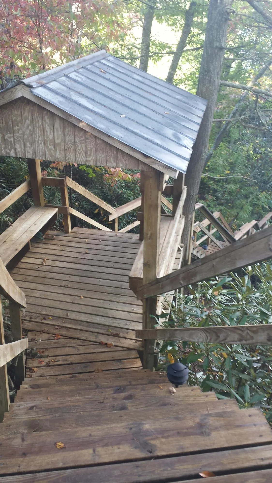 Metal roofed shelter over wooden steps on a wooded walkway — Skylight Repair & Installation work by our crew in Dillsboro